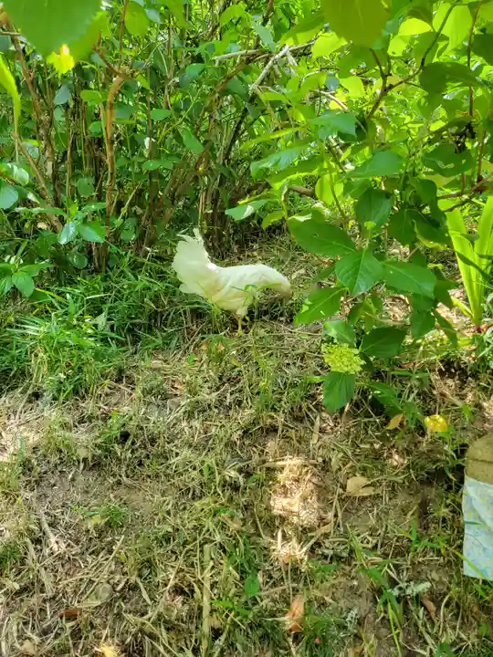 観音寺(京都府)