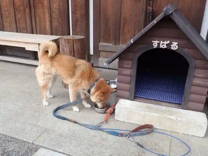 感通寺(東京都)