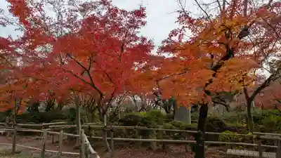 長岡天満宮(京都府)