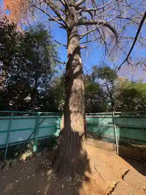 稲荷神社(東京都)