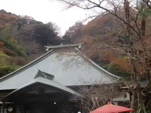 海蔵寺の本殿・本堂