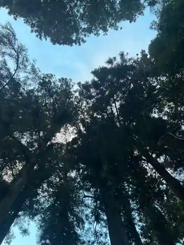 大宮温泉神社(栃木県)