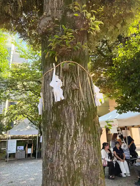 蛇窪神社の{uncategorized: "未分類", other: "その他", undefined: "問題あり", building: "その他建物", grave: "お墓", sacred_gate: "鳥居", guardian: "狛犬", statue: "像", buddha: "仏像", history: "歴史", nature: "自然", garden: "庭園", animal: "動物", pagoda: "塔", temizu: "手水舎", mountain_gate: "山門・神門", sanctuary: "本殿・本堂", subordinate: "末社・摂社", art: "芸術", scenery: "景色", jizo: "地蔵", ema: "絵馬", goshuin: "御朱印", omikuji: "おみくじ", items: "授与品その他", amulet: "お守り", goshuincho: "御朱印帳", eats: "食事", festival: "お祭り", votive_dance: "神楽", shichigosan: "七五三参", wedding: "結婚式", experience: "体験その他", initially: "初詣", around: "周辺", anti_infection: "感染症対策"}