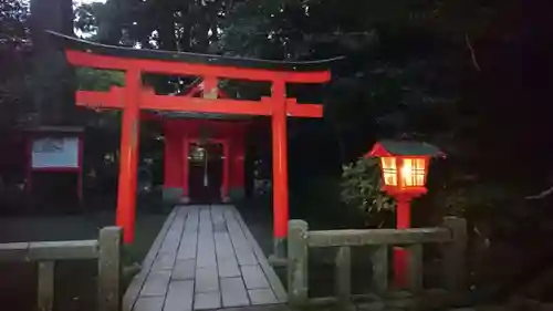 箱根神社の鳥居
