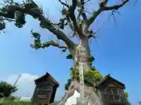 大木神社跡地(三重県)