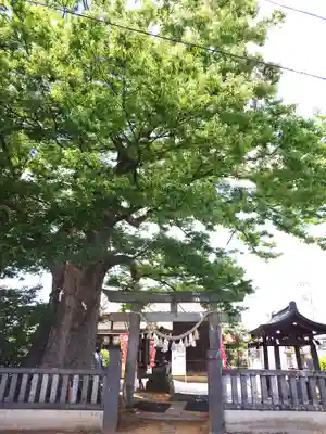 三ツ木神社(埼玉県)