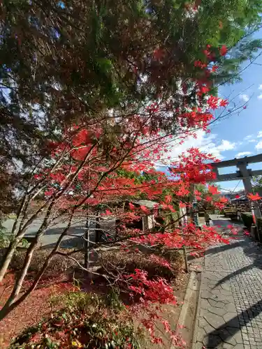 滑川神社 - 仕事と子どもの守り神の自然