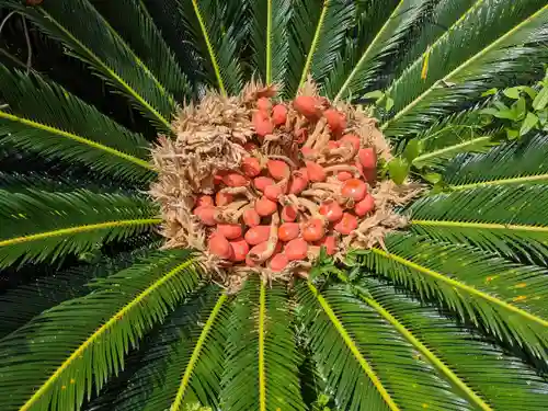 伊計神社(沖縄県)