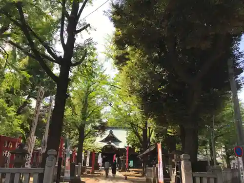 鬼子母神堂　(法明寺）の自然