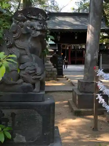 赤坂氷川神社の狛犬