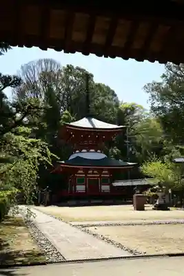 慈尊院(和歌山県)