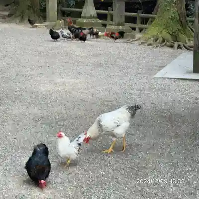 石上神宮(奈良県)