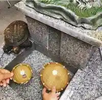 小網神社のその他建物