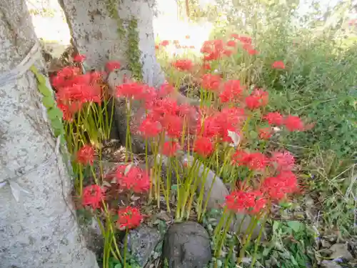 和田塚(神奈川県)