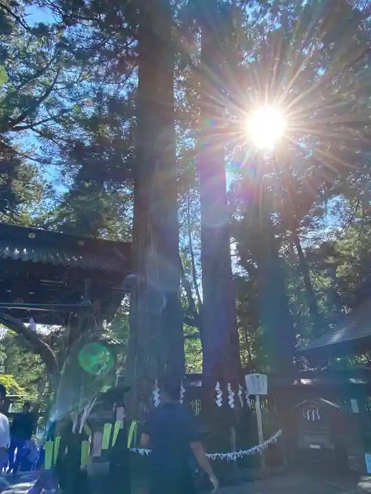 日光二荒山神社(栃木県)
