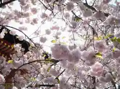 志波彦神社・鹽竈神社の自然