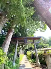 別所神社の鳥居