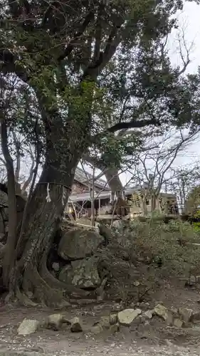 村雲御所瑞龍寺門跡(滋賀県)