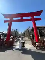 鷲宮神社(埼玉県)