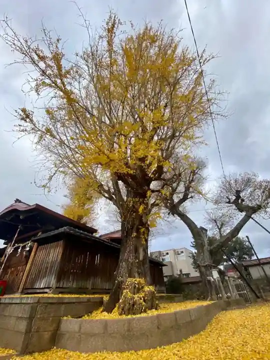宇賀神社の自然