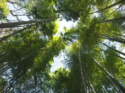 明月院(神奈川県)