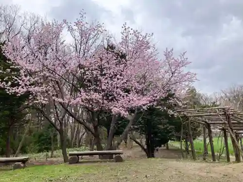 北海道神宮の自然