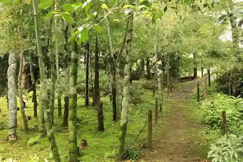 浄住寺(京都府)