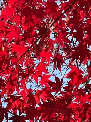 円常院(圓常院) enjoyntemple(京都府)
