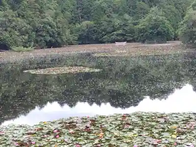 八幡神社(滋賀県)