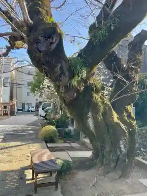 栄松院の{uncategorized: "未分類", other: "その他", undefined: "問題あり", building: "その他建物", grave: "お墓", sacred_gate: "鳥居", guardian: "狛犬", statue: "像", buddha: "仏像", history: "歴史", nature: "自然", garden: "庭園", animal: "動物", pagoda: "塔", temizu: "手水舎", mountain_gate: "山門・神門", sanctuary: "本殿・本堂", subordinate: "末社・摂社", art: "芸術", scenery: "景色", jizo: "地蔵", ema: "絵馬", goshuin: "御朱印", omikuji: "おみくじ", items: "授与品その他", amulet: "お守り", goshuincho: "御朱印帳", eats: "食事", festival: "お祭り", votive_dance: "神楽", shichigosan: "七五三参", wedding: "結婚式", experience: "体験その他", initially: "初詣", around: "周辺", anti_infection: "感染症対策"}