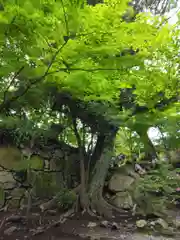 村雲御所瑞龍寺門跡(滋賀県)