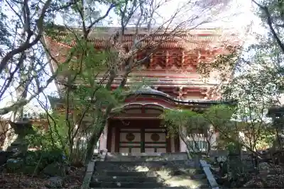 柞原八幡宮(大分県)