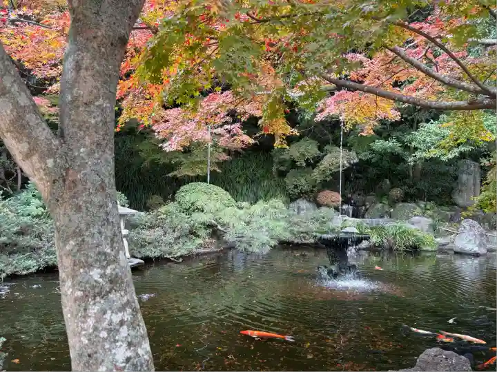 鎮西大社諏訪神社(長崎県)