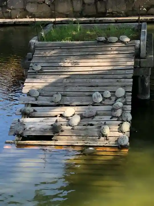 四天王寺(大阪府)