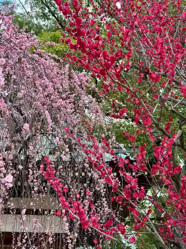 屯倉神社(大阪府)