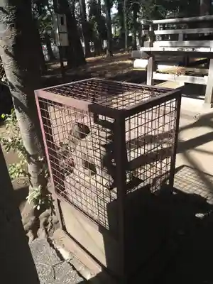 熊野神社(東京都)