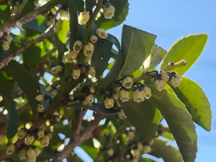 西方山極楽寺(岐阜県)