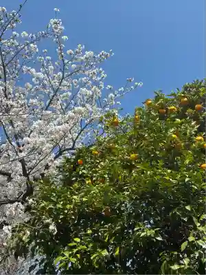 新田神社(神奈川県)
