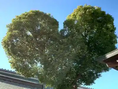 南宮宇佐八幡神社（脇浜神社）(兵庫県)
