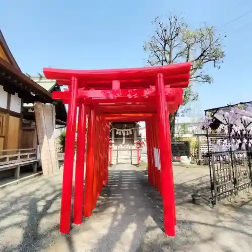 相模原氷川神社(神奈川県)