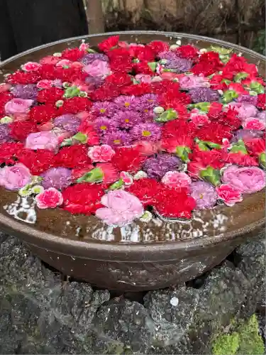 武蔵一宮氷川神社(埼玉県)