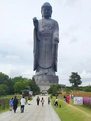 東本願寺本廟 牛久浄苑（牛久大仏）の仏像