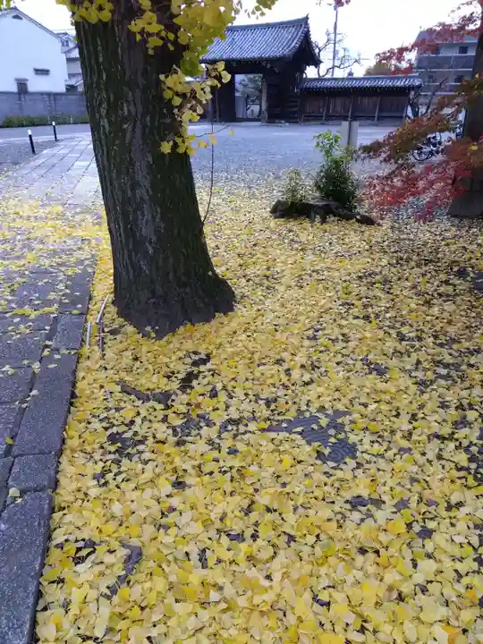 妙覺寺(妙覚寺)(京都府)