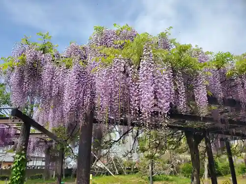 大天白神社(埼玉県)