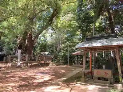 神崎神社(千葉県)