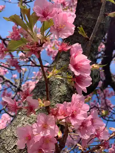 かっぱの寺 栖足寺の自然
