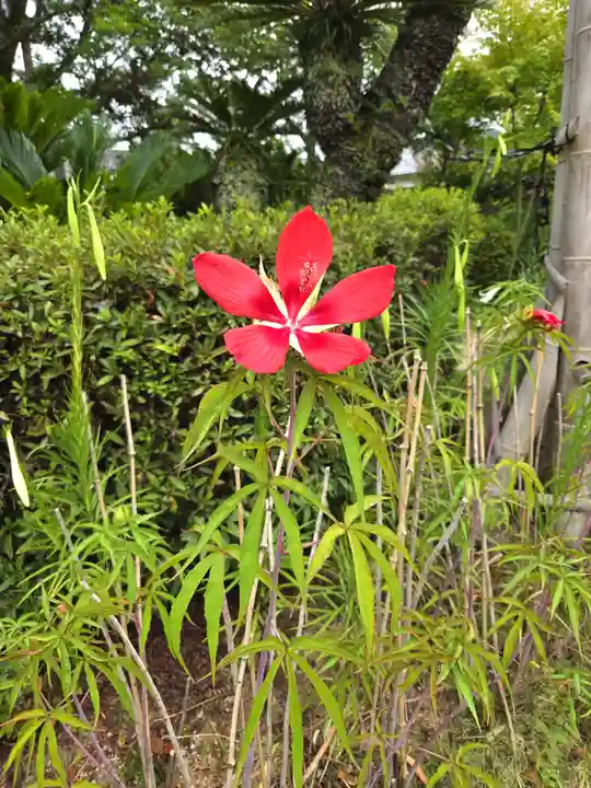 円政寺(山口県)