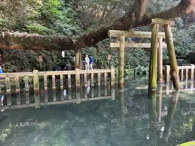 鹿島神宮(茨城県)