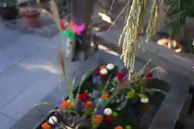 東海市熊野神社の手水舎