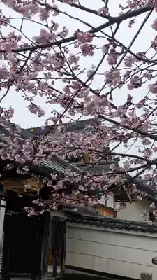蓮経寺(滋賀県)